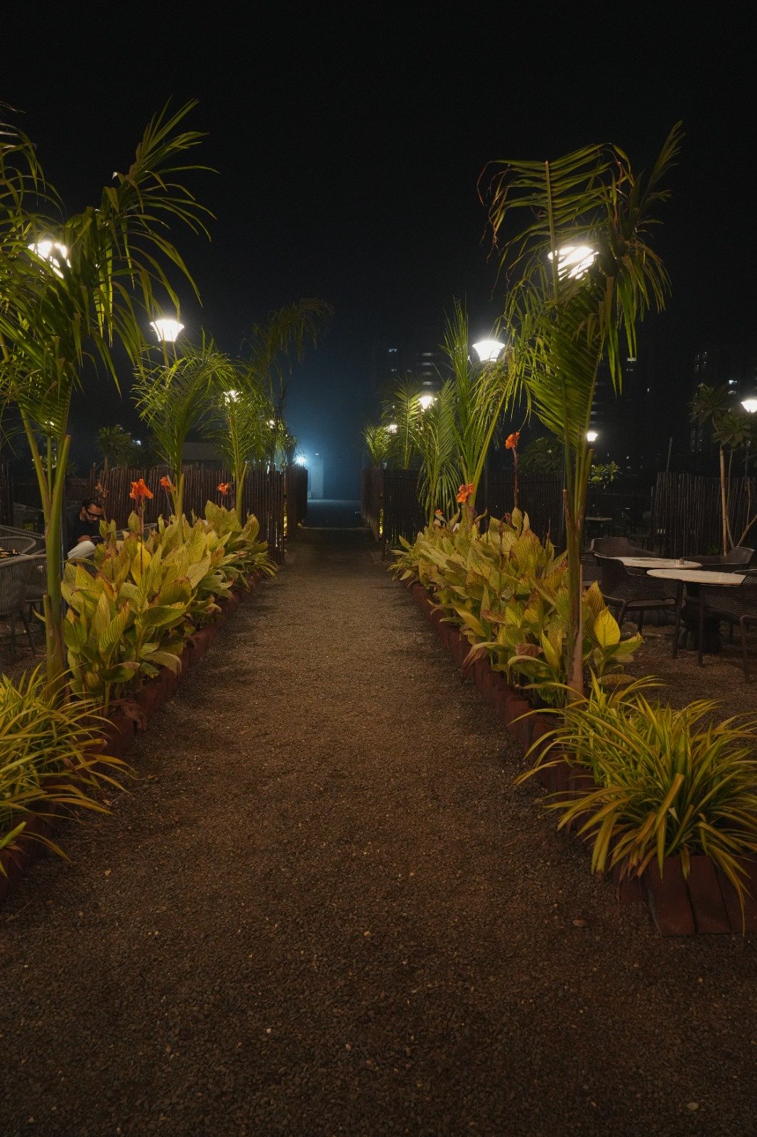 Ambience - Second Branch 3